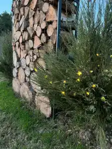 Место силы - 96