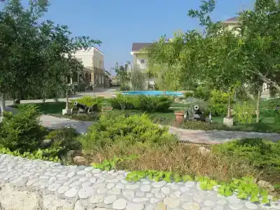 Тарпанчи - 19