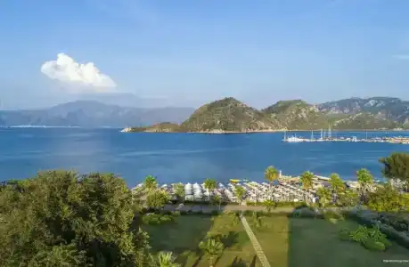 Elite World Asia - 20