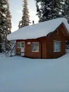 Эдельвейс - 20