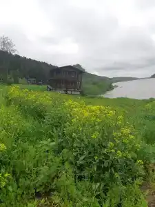 Янтарь - 15