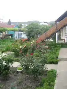 Ксения - 20