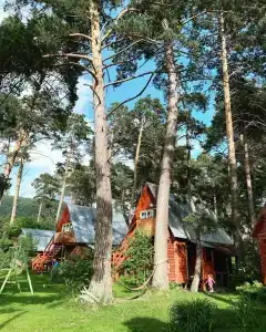 Заимка у Катуни - 29