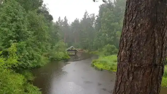 Лосево - 20