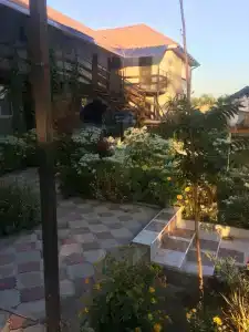 Маргарита - 0