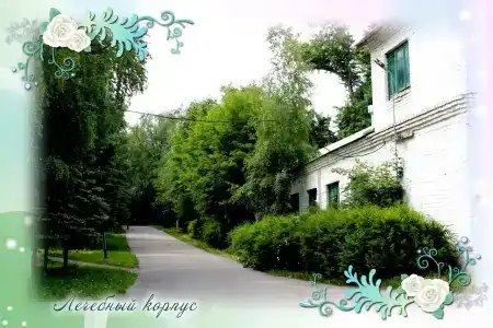 Санаторий им. А.П. Бородина - 1