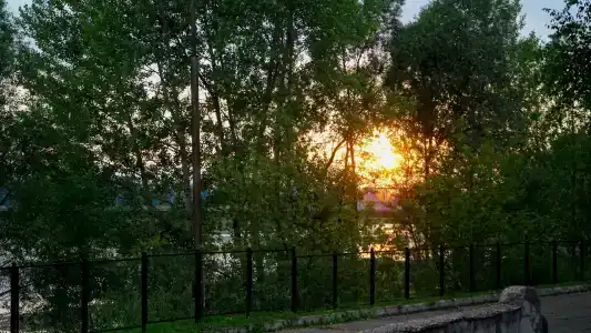 Солнечный - 4