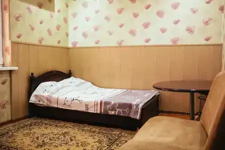 Черепаха - 35