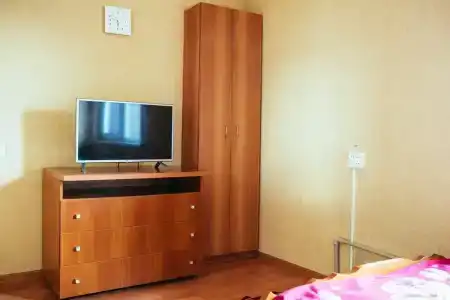 Черепаха - 24