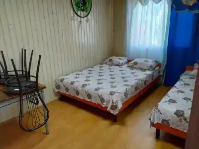 Лотос - 9