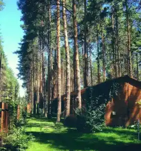 Чайка - 9