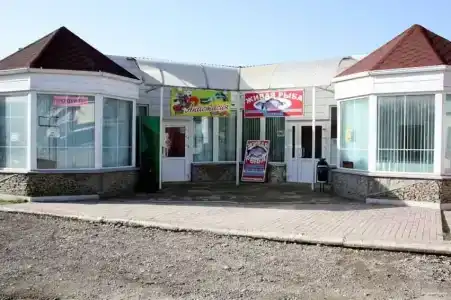 Славянка - 17