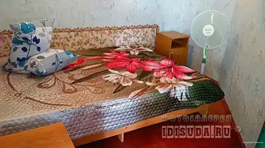 Солнечный - 29