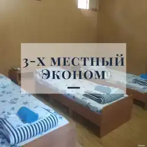 Виктория - 20