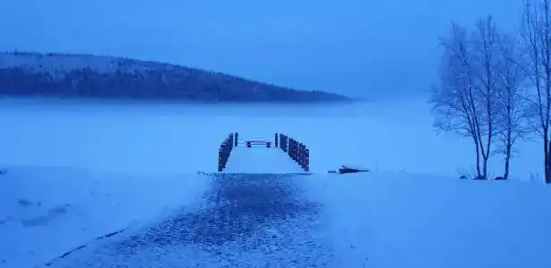 Зеленый берег - 17