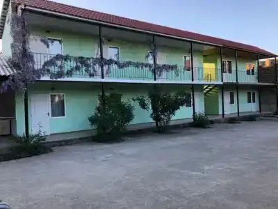 Кипарис - 28