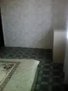 Графиня - 33
