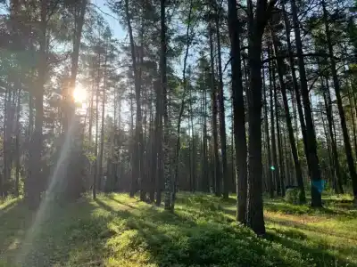 База Сокол, озеро Глубокое - 4