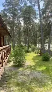 Заимка у Катуни - 61