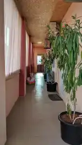 Витокс у моря - 2