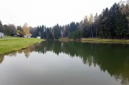 Чайковский - 0
