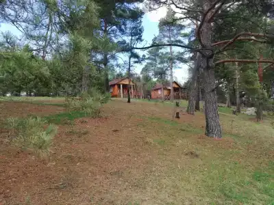 Избушка на опушке - 50