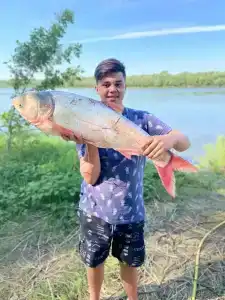 Левада - 27