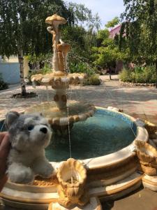 Фрунзенец - 15