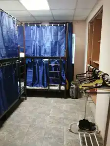 Авокадо на Смольной - 11