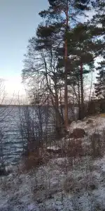Сосновый Бор - 36