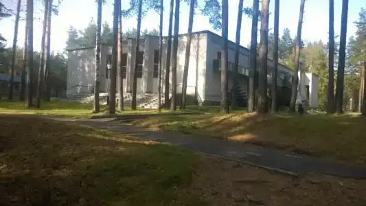 Русский лес - 7