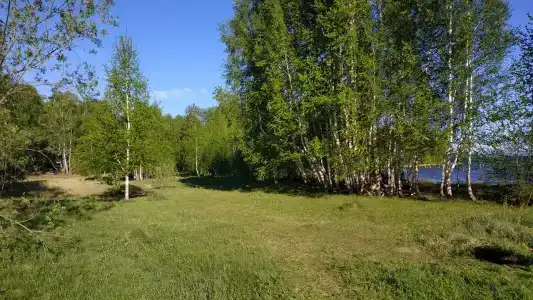 Палаточный лагерь - 3