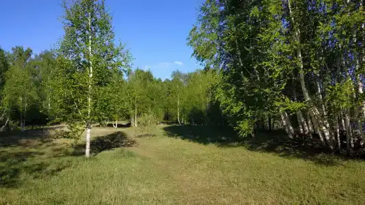 Палаточный лагерь - 5