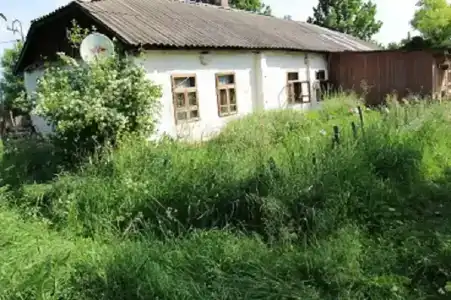 Старая мельница - 6