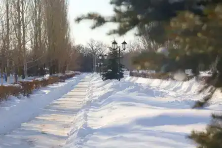 Светлана - 22