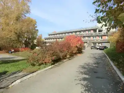 Родничок - 6