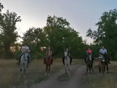 Золотая подкова - 1