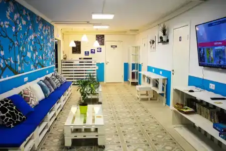 Арт Хостел Ван Гог - 24