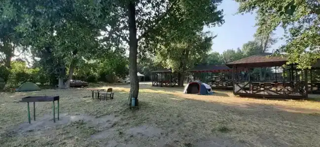 Рыбколхоз - 20