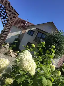 Белый Аист - 18