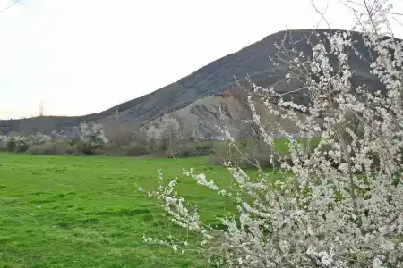 f Garden Sheki - 9