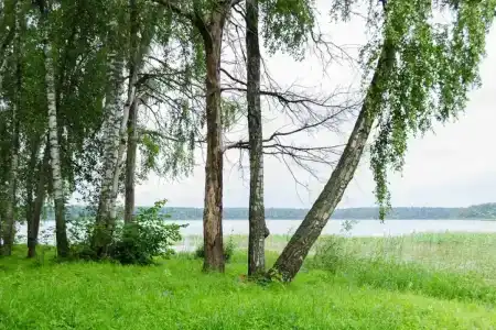 Истра - 5
