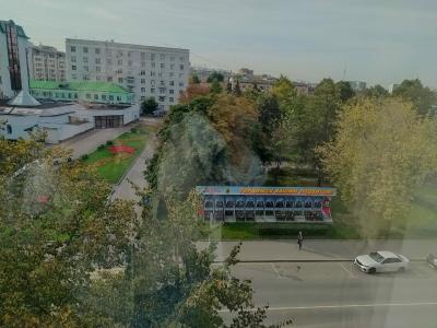 Смородина - 3