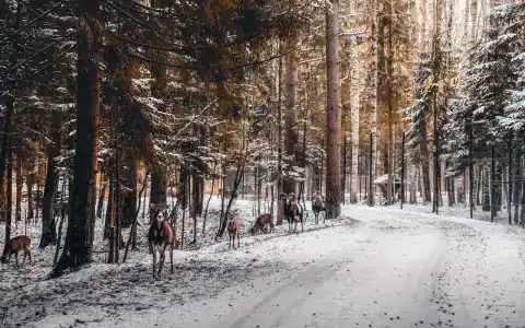Веретьево - 2