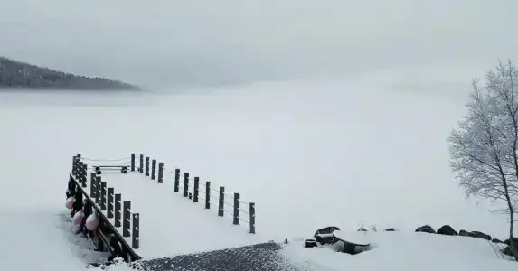 Зеленый берег - 4