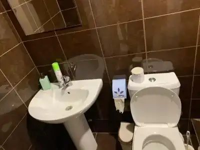 Славянка - 1