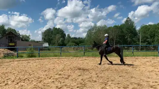 Храброво - 13