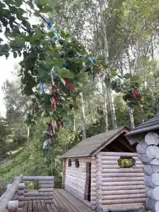 Медведица - 9