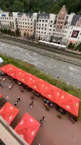 Голден Тюлип - 58