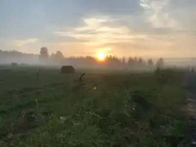 Живой источник - 36